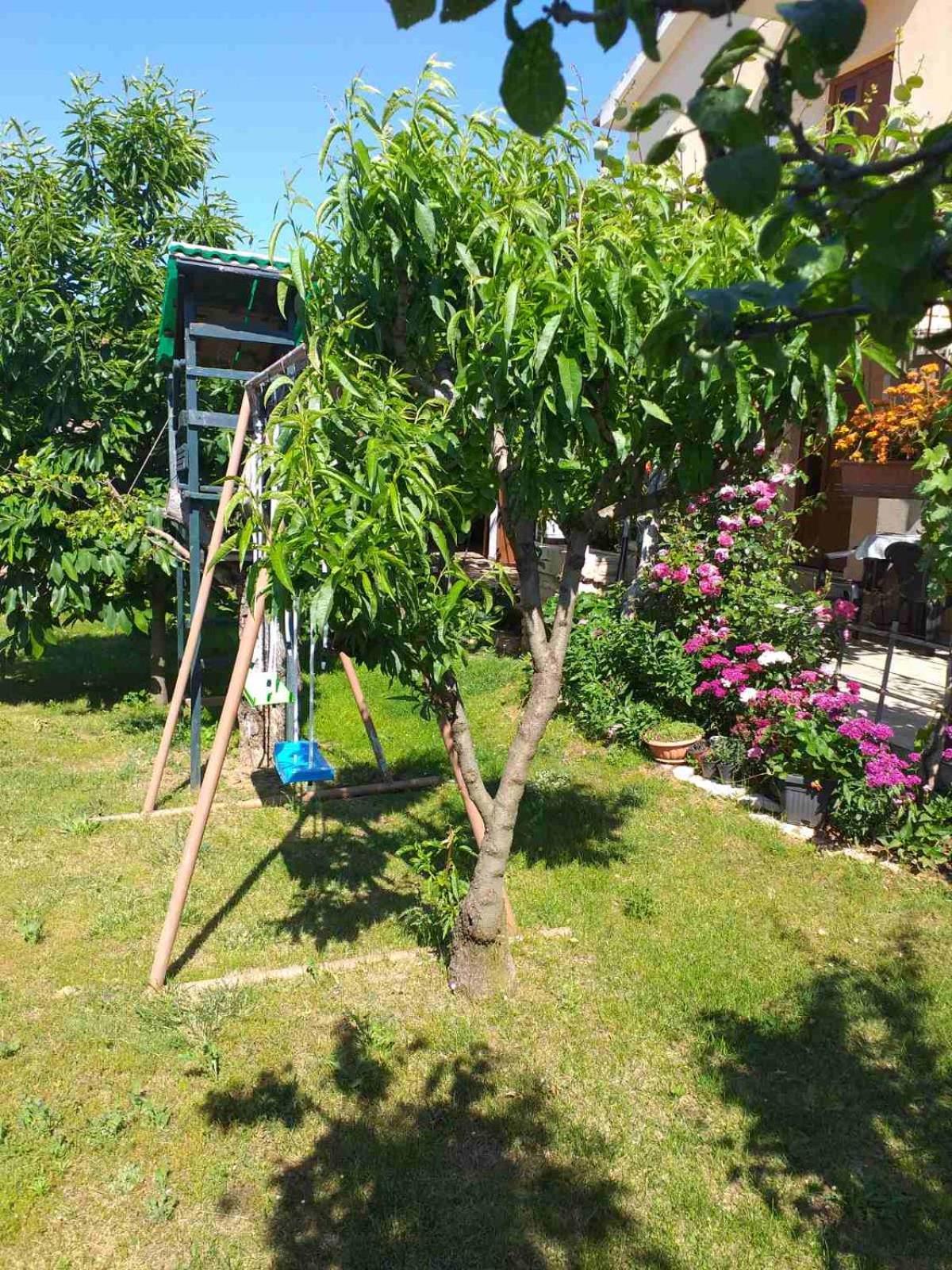 Apartament Lori Pula Zewnętrze zdjęcie