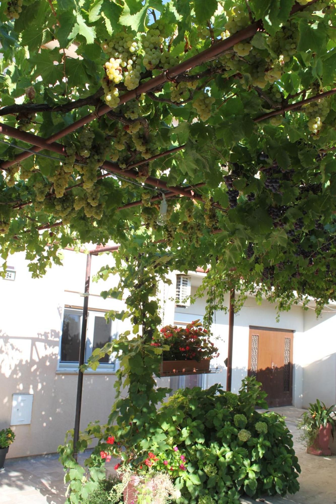 Apartament Lori Pula Zewnętrze zdjęcie